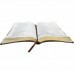 Bíblia Sagrada | NAA | Letra Grande | Leão Marrom
